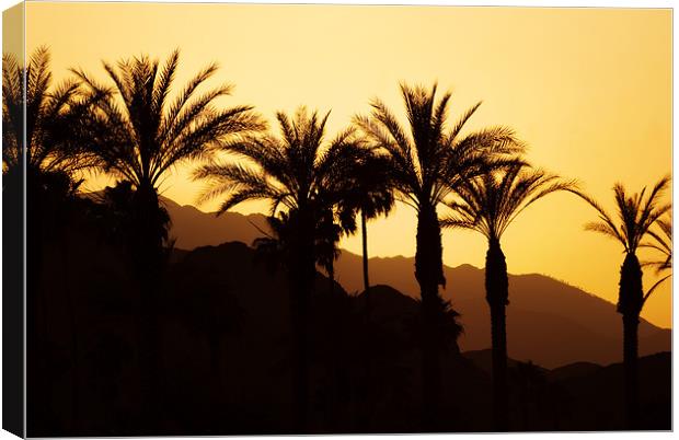 Sunset Palm Springs Canvas Print by Mary Lane