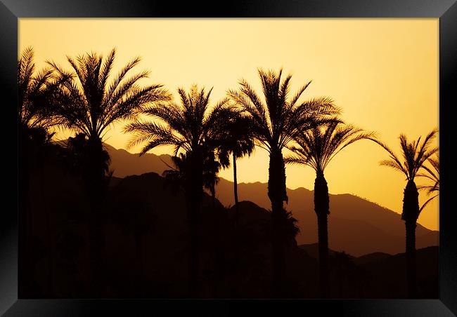 Sunset Palm Springs Framed Print by Mary Lane