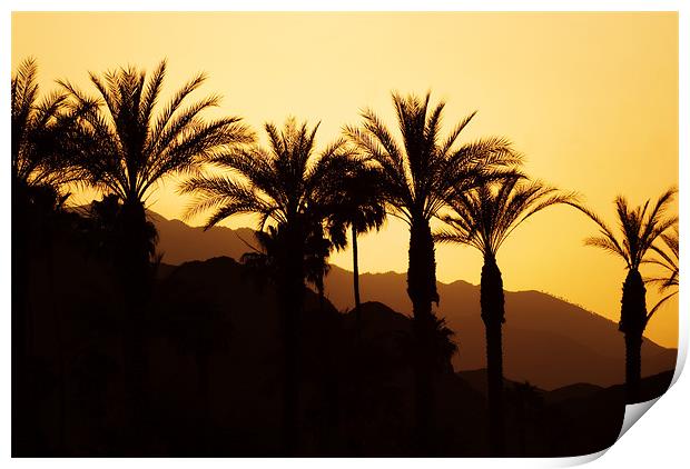 Sunset Palm Springs Print by Mary Lane