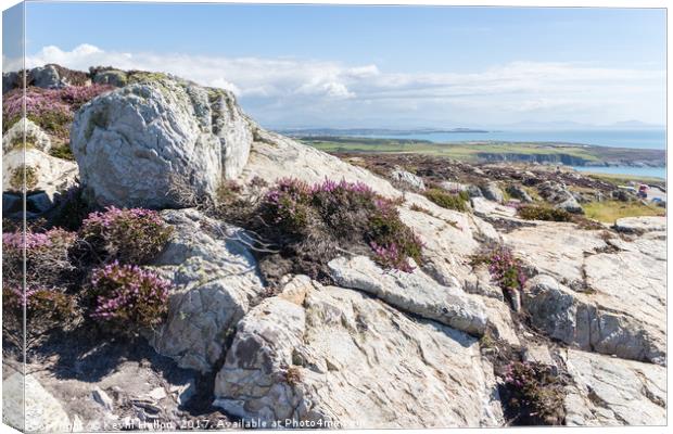 View over rocks and purple heather Canvas Print by Kevin Hellon