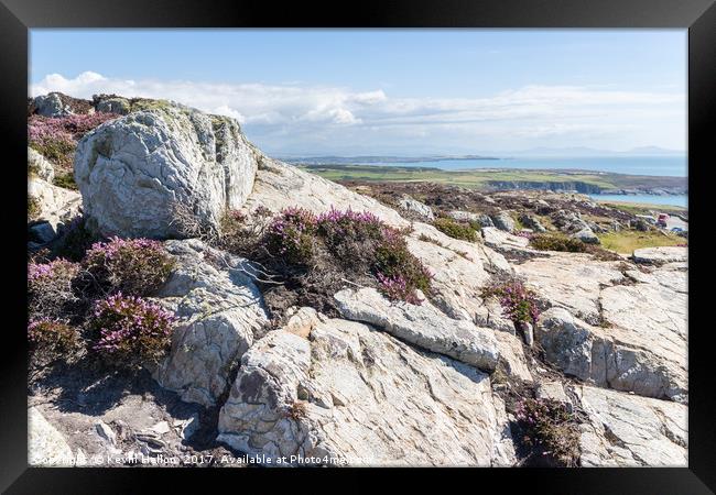 View over rocks and purple heather Framed Print by Kevin Hellon