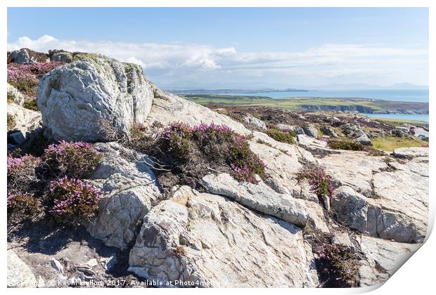 View over rocks and purple heather Print by Kevin Hellon