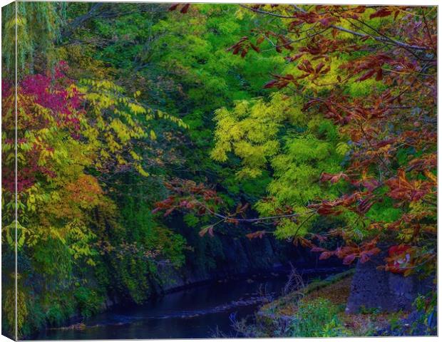 Autumn Trees Canvas Print by Victor Burnside