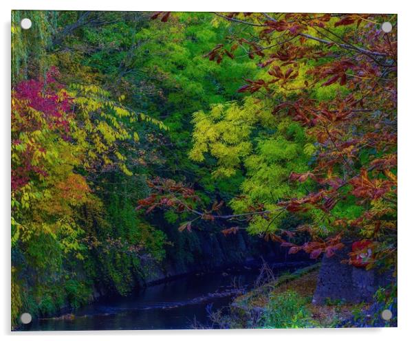 Autumn Trees Acrylic by Victor Burnside