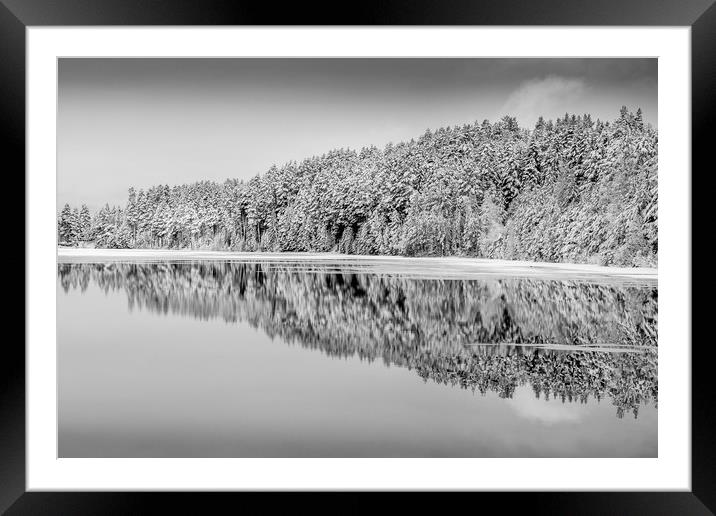 Winter Framed Mounted Print by Hamperium Photography