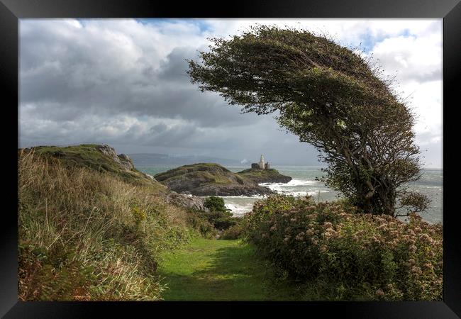Windswept tree with Mumbles lighthouse.  Framed Print by Bryn Morgan