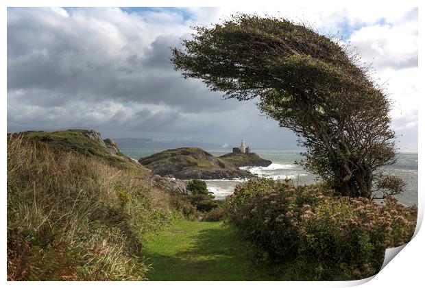 Windswept tree with Mumbles lighthouse.  Print by Bryn Morgan