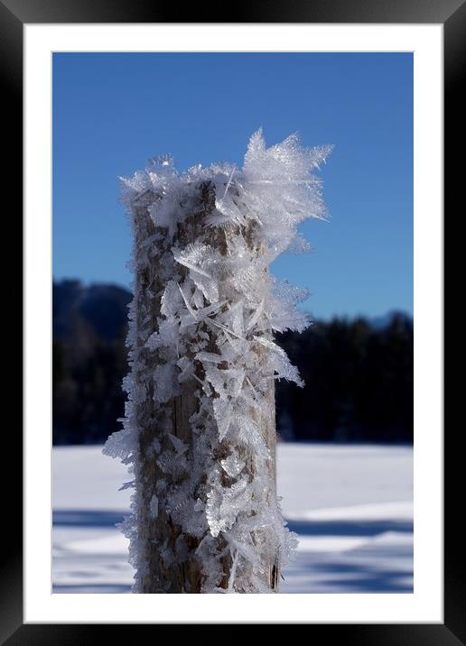 Frosty Alpine Pole                                 Framed Mounted Print by John Iddles