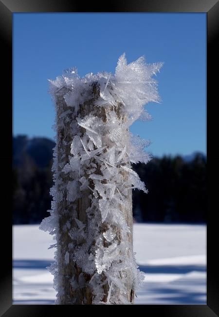 Frosty Alpine Pole                                 Framed Print by John Iddles