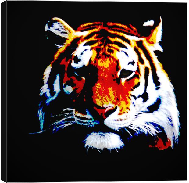 Tiger Canvas Print by Sharon Lisa Clarke