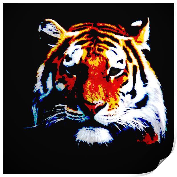 Tiger Print by Sharon Lisa Clarke