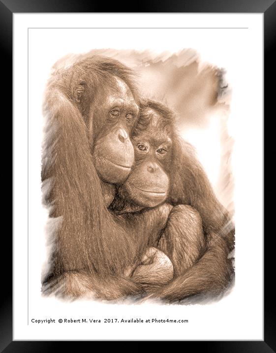 Orangutan Sisters Framed Mounted Print by Robert M. Vera