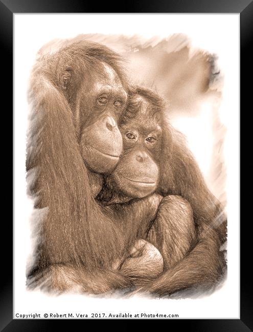 Orangutan Sisters Framed Print by Robert M. Vera