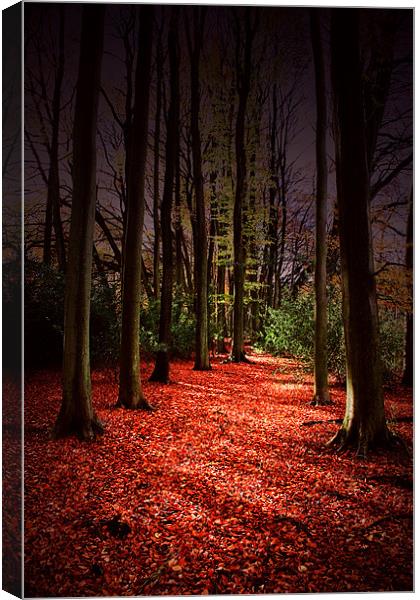 Autumn Carpet Canvas Print by Ian Jeffrey