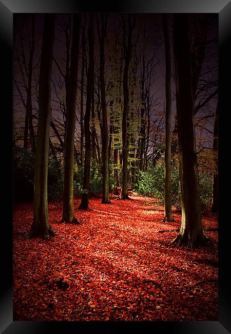 Autumn Carpet Framed Print by Ian Jeffrey