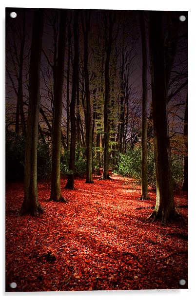 Autumn Carpet Acrylic by Ian Jeffrey