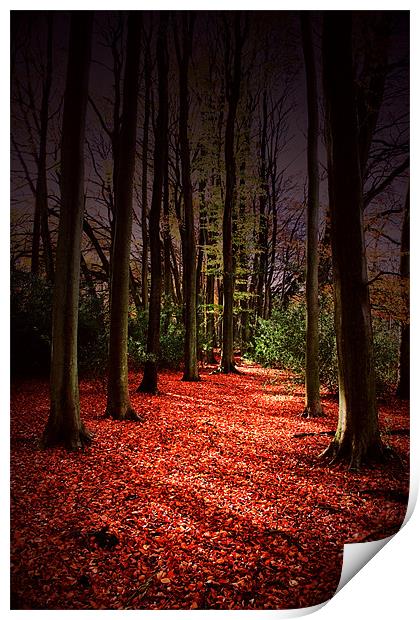 Autumn Carpet Print by Ian Jeffrey