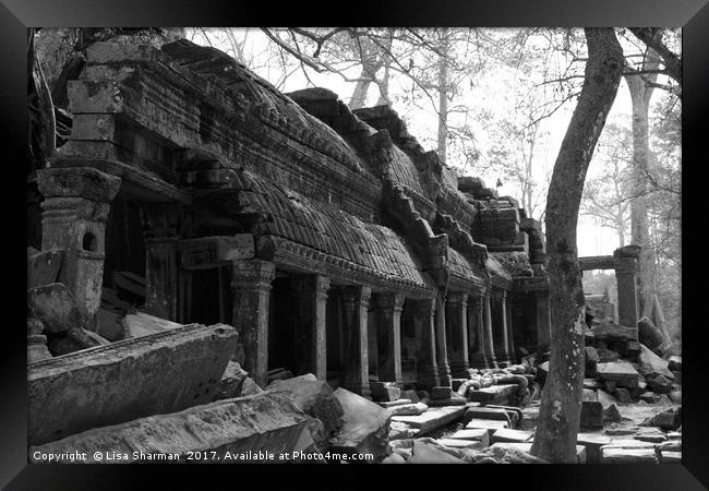 Ruins in Cambodia Framed Print by  