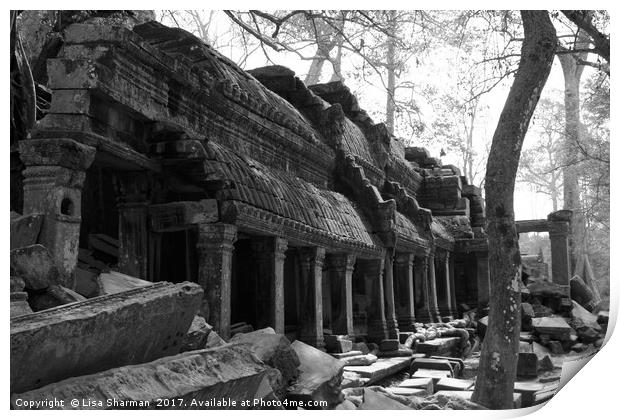 Ruins in Cambodia Print by  