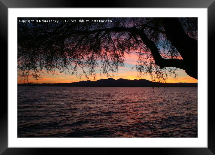 Sunset on Havasu Framed Mounted Print by Debra Farrey