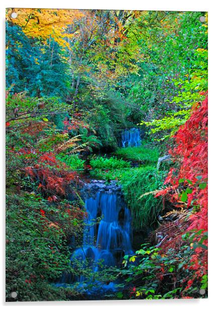 Autumn Waterfalls. Acrylic by paulette hurley