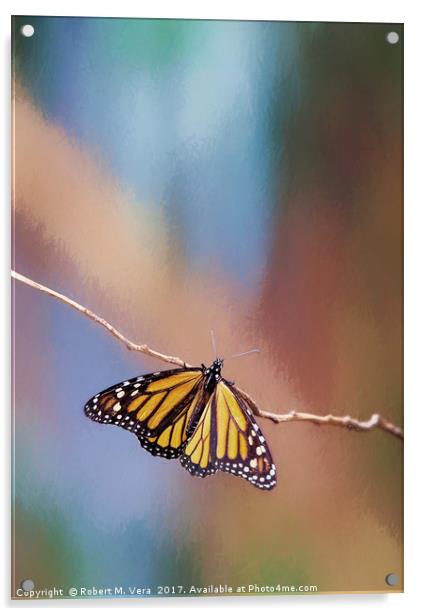Monarch Butterflies on a Eucalyptus Tree Acrylic by Robert M. Vera