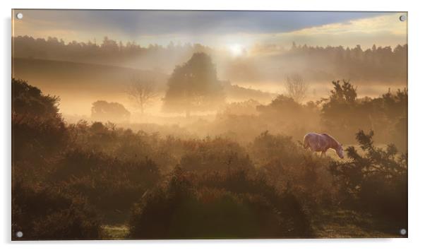New Forest Dawn Acrylic by Ceri Jones