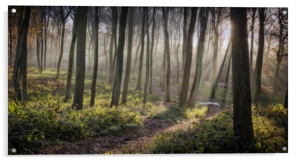 Woodland Morning Acrylic by Ceri Jones