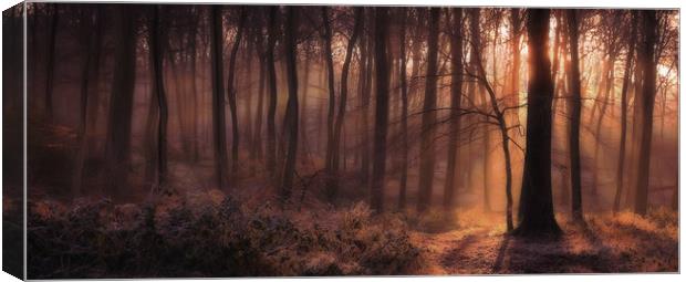 Winter Woodland Dawn Canvas Print by Ceri Jones