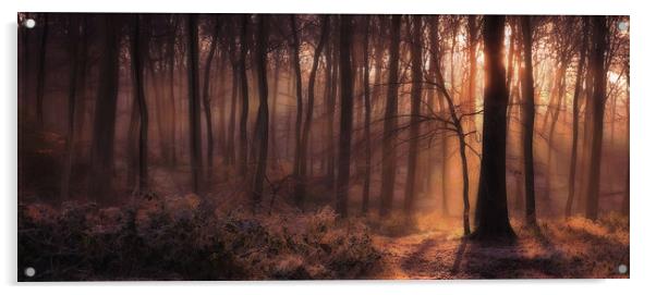 Winter Woodland Dawn Acrylic by Ceri Jones