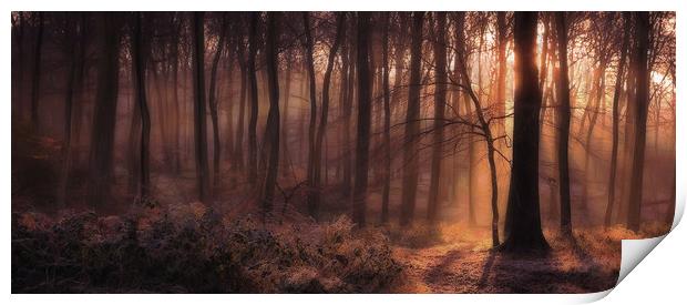 Winter Woodland Dawn Print by Ceri Jones