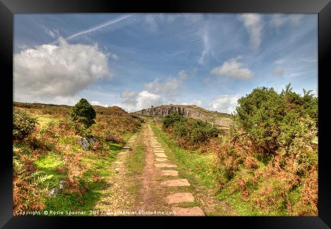 The old railway track leading up to Stowes Hill Framed Print by Rosie Spooner
