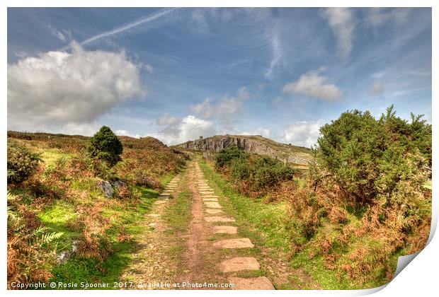 The old railway track leading up to Stowes Hill Print by Rosie Spooner