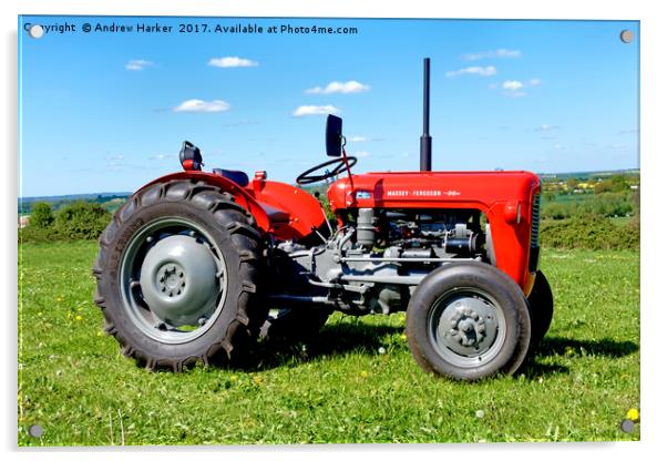 Massey Ferguson 35 Tractor Acrylic by Andrew Harker