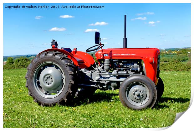 Massey Ferguson 35 Tractor Print by Andrew Harker