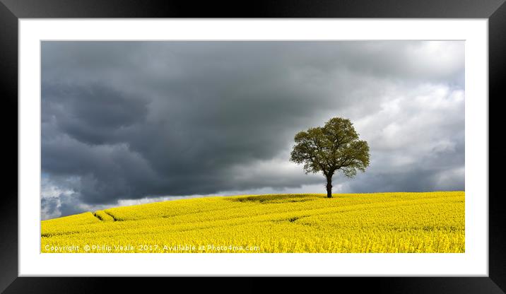 Summer Storm Approaching. Framed Mounted Print by Philip Veale
