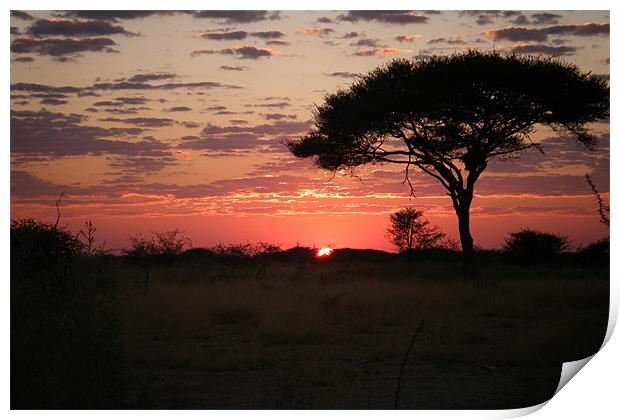 african sunset Print by felicity turner