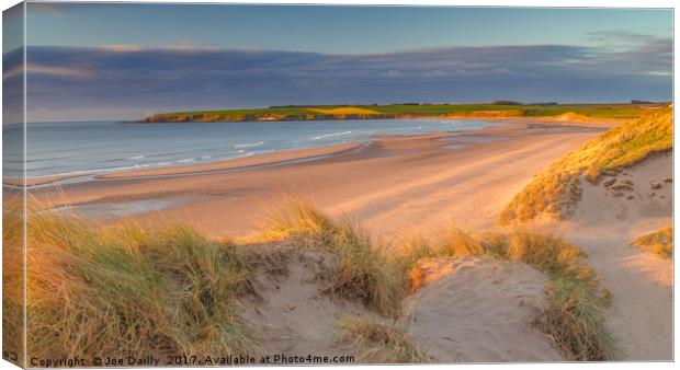 Golden Hour on Lunanbay Beach Canvas Print by Joe Dailly