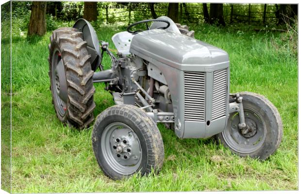A Vintage Ferguson Tractor Canvas Print by Andrew Harker
