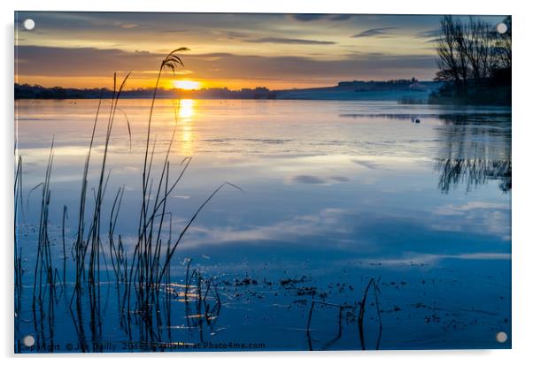 Peaceful Rescobie Loch Sunrise Acrylic by Joe Dailly
