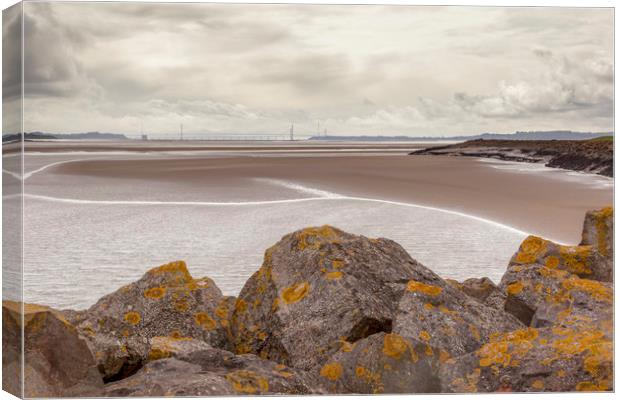 Low Tide Canvas Print by David Tinsley