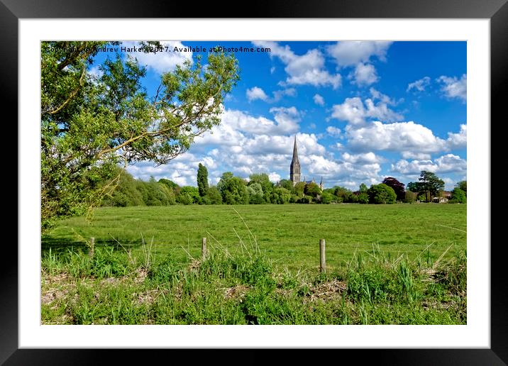 Salisbury Cathedral, Wiltshire, United Kingdom Framed Mounted Print by Andrew Harker