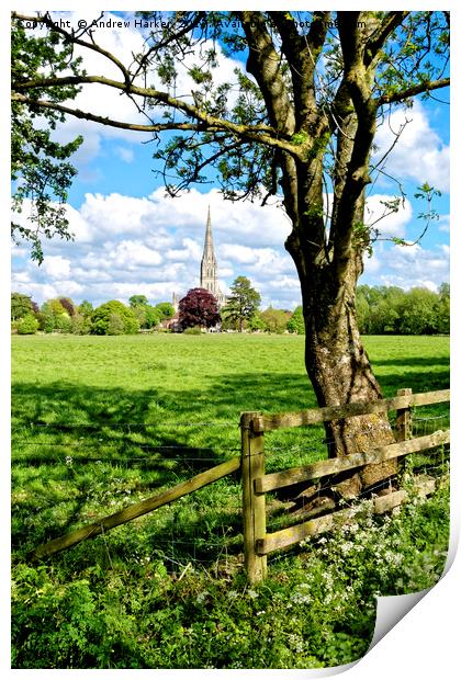 Salisbury Cathedral, Wiltshire, United Kingdom Print by Andrew Harker