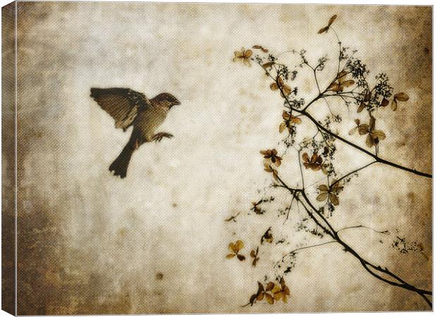 Dead Flowers and Bird Canvas Print by K. Appleseed.