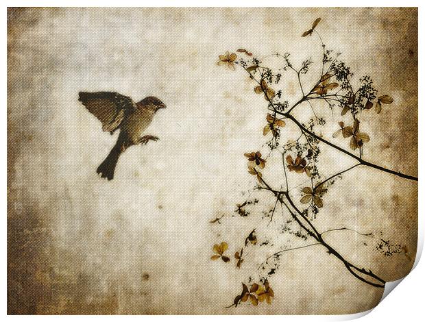 Dead Flowers and Bird Print by K. Appleseed.