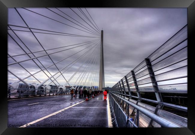 The North Tower of the Queensferry Crossing Framed Print by Tom Gomez