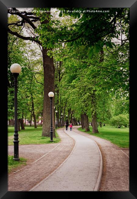 Walking At The Kadriorg Park Framed Print by Jukka Heinovirta