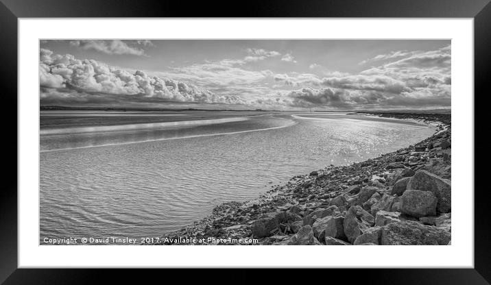 Incoming Tide Framed Mounted Print by David Tinsley