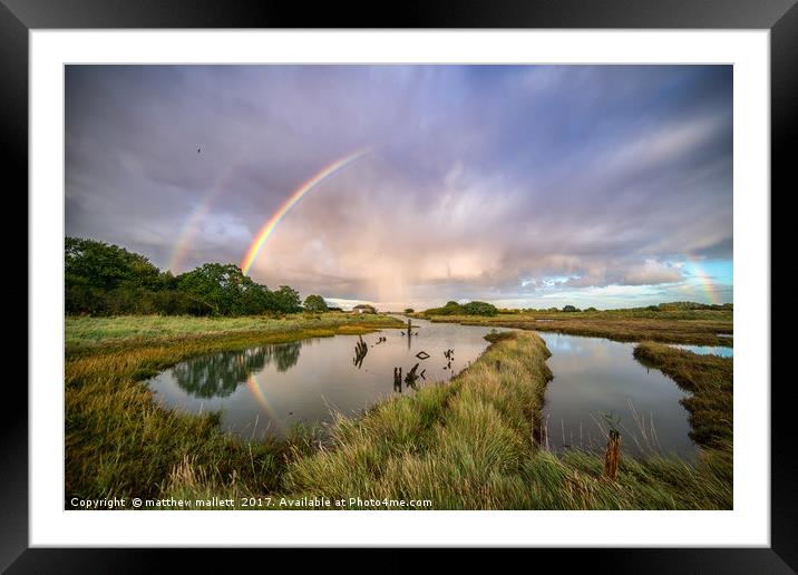 Swallows, Rainbows and Reflections Framed Mounted Print by matthew  mallett