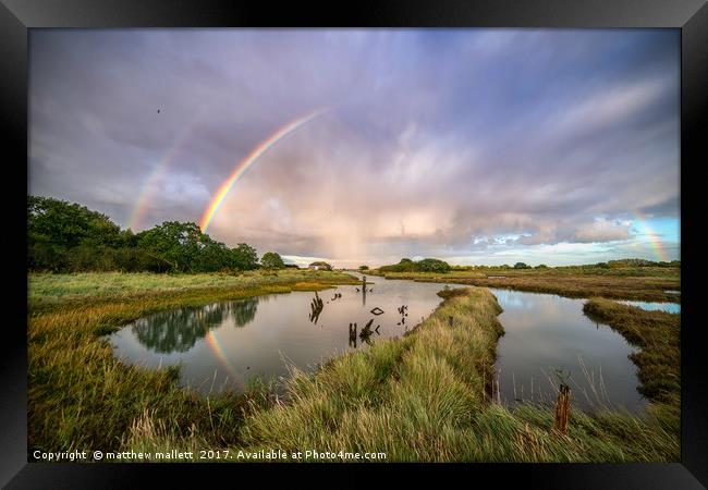 Swallows, Rainbows and Reflections Framed Print by matthew  mallett